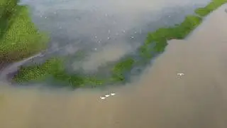 Dedham Flooding