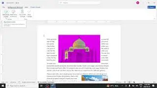 MS Word Picture Tools Part 2 | Picture Effects, Layout & Crop | Complete Tutorial in Hindi & English