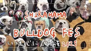 白浜ブルフェス2025 いつも心に太陽を！