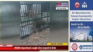 Wildlife department caught alive leopard in Doda