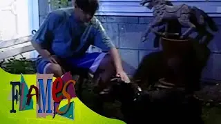 Flames: Love Thy Neighbor's Dog feat. Kaye Abad/ John Lloyd Cruz (Episode 1) | Jeepney TV