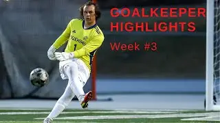 Goalkeeper Highlights Week #3
