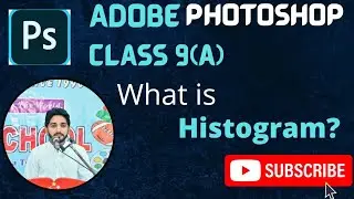 09(a) How to use Histogram Panel?