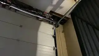 отзывы платинум стандарт