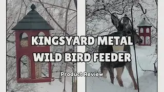 Durable, Weather-Proof & Bird-Approved 🐦 Kingsyard Metal Bird Feeder Review