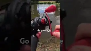 Bass catching!! (lure) (all black Berkeley top water whopper plopper￼