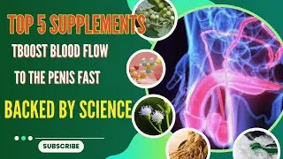 Science Backed Supplements to BOOST Blood Flow to the Penis FAST!