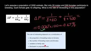 Animal breeding and inbreeding