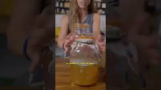 Aerobic Vs. anaerobic Fermentation
