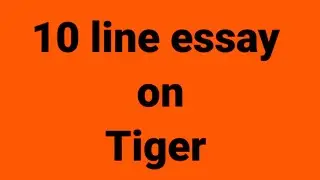 10 line essay on tiger/essay on tiger/paragraph on tiger/my favorite animal is the tiger/tigers
