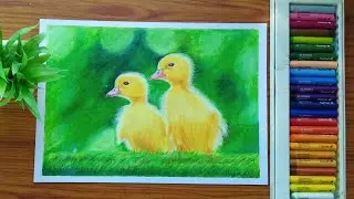 Cute Duckling drawing with oil pastel colours