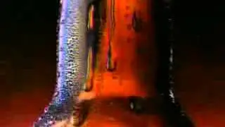 Budweiser&reg; The King of Beers 2006 flv video free file download at fliiby com