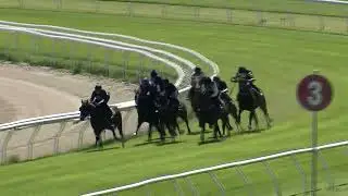 Heat 9   Doomben Jumpouts 0212