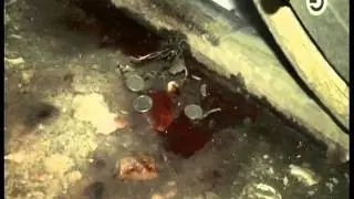 474747