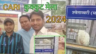 Bareilly IVRI CARI के 46वें स्थापना दिवस,  CARI Barailly Mein Laga Kukkut Mela 2024, #bareilly