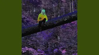 fallen star (feat. whatevuer) (slowed + reverb)