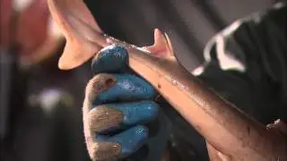 Deep Sea Sharks - Cuban Dogfish