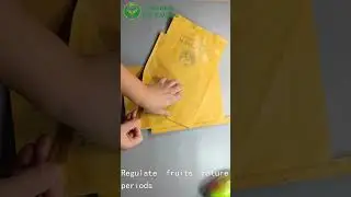 Bag Protect Mango Guava Protection Cover +8613583554035
