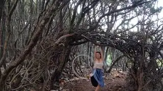 ljeto