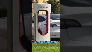 Elon Musk's Vision: A Self Sustaining Tesla Ecosystem!