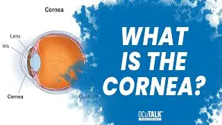 What is the Cornea? Dr. Lambright explains