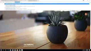 How to set up a Wordpress website with XAMPP on Windows 10