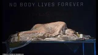 Netflix organises Altered Carbon marketing stunt at CES