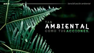 La energ&iacute;a el&eacute;ctrica y su impacto en el medio ambiente.