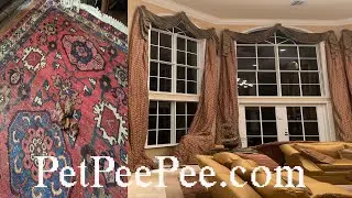 Wool rug clean from Foul Odor USA