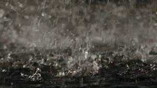 Sleep Instantly Rain+ Misty Forest House