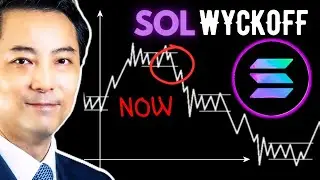 Solana Defended Key Level And Keeps Upside Move? (SOL) Wyckoff Price Prediction (Oct 26, 2025)