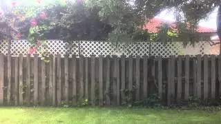 Running Back and Forth