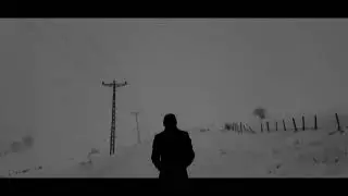 White Star Bulb Company - Punchdrunk