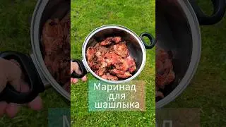 Маринад  #шашлык #куриныйшашлык  #шашлыки #шашлыкрецепт #маринаддляшашлыка #маринаддлякурицы