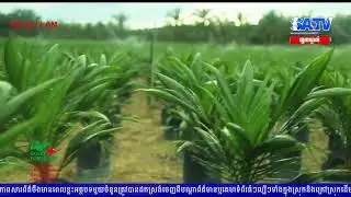 ព័ត៌មានពេលព្រឹកដែល ផ្សាយចេញពី S.ATVHD Channel