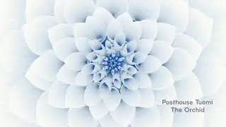 Posthouse Tuomi - The Orchid - (feat. Annie Wallflower & Eric Castiglia)