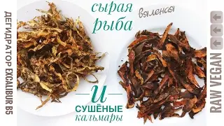 Кухня сыроеда &ndash; Веганские рыбки и кальмары в дегидраторе! Рецепты. Сыроедение. Вегетарианство.