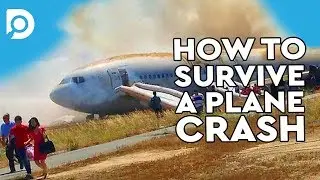 How To SURVIVE A Plane CRASH! #SURVIVAL #MYTHS #DEBUNKED