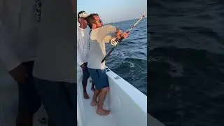 Great evening #southflorida #sharkfishing #saltwaterlife #saltwaterfishing