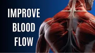 8 Foods to Increase Your Blood Flow