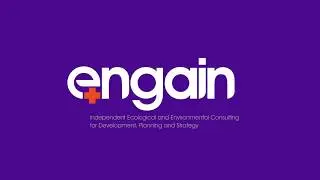 Engain brand ident