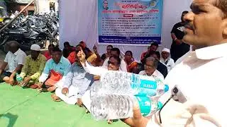 dalit Panther