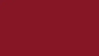 Egyptian Red Color Screen
