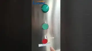 Test Video of 1000L Homogenizing Mixer