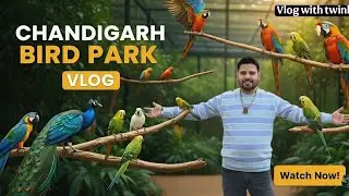 India&rsquo;s Most Beautiful Bird Park || Chandigarh Bird Park Full Tour || Vlog with twinky||