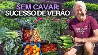 Tour pela horta sem cavar: colheitas, replantios e novidades do Homeacres