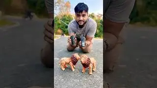 दो जंगली शेर Two RC Lion🦁unboxing!