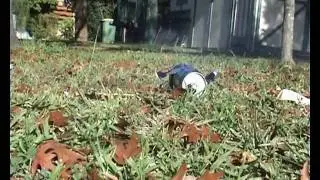 Beer can blowing up