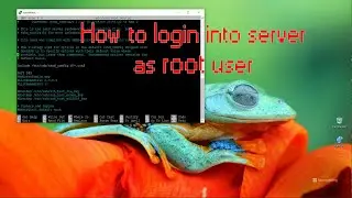 How to log into server as root user Ubuntu server Linux server