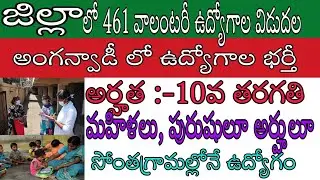 New Volunteer Jobs Requirements In 2020 || Anganwadi Jobs New  Notification In Ap || Nojobtv